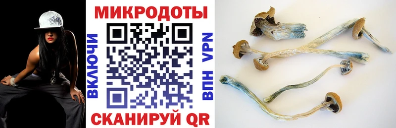 Псилоцибиновые грибы Psilocybine cubensis  хочу наркоту  Чаплыгин 